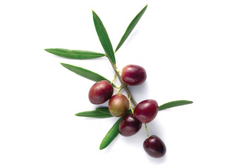 Coniglio alla Ligure con olive e pinoli