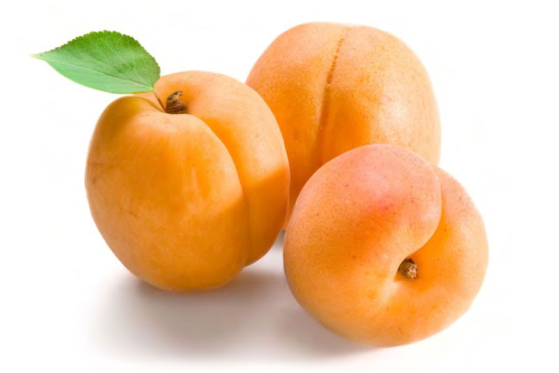 Apricot Jam Roll