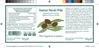 Image de Olive Taggiasche in Salamoia 180g
